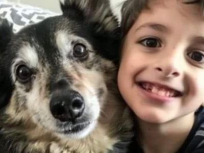 A Rescue Dog Came Home with Us — The Next Night, My 8-Year-Old Son Disappeared