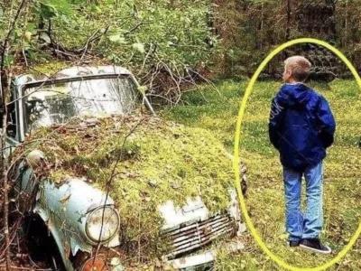 While strolling through the woodland, a child discovers an abandoned old car and a box with an envelope inside.