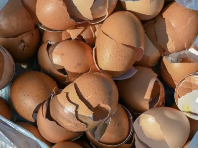Don&#8217;t throw away eggshells! Here&#8217;s what makes them useful