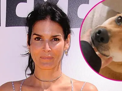 Shocking Incident: Angie Harmon&#8217;s Dog Shot and Killed