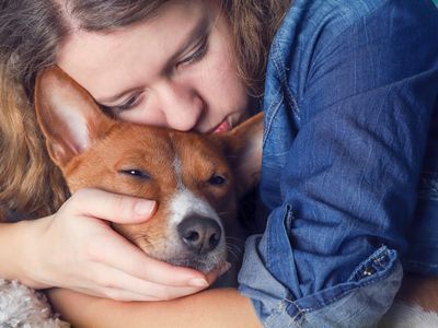 11 Anzeichen, dass dein Hund seine letzten Stunden erlebt