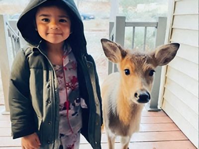 During a family vacation, a 4-year-old boy befriends a wild deer and tries to bring it home