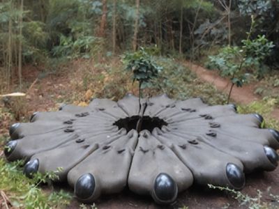 A woman finds this strange object in the forest, and her jaw drops when she realizes what it is.